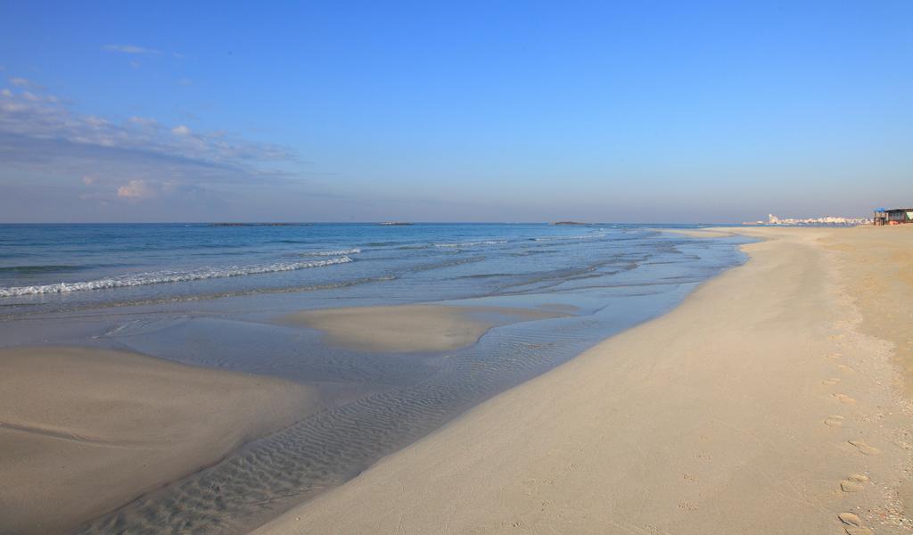 B&B Vacanze Salento Torre San Giovanni Ugento Dış mekan fotoğraf